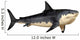 Megalodon Shark Wall Decal Design 4