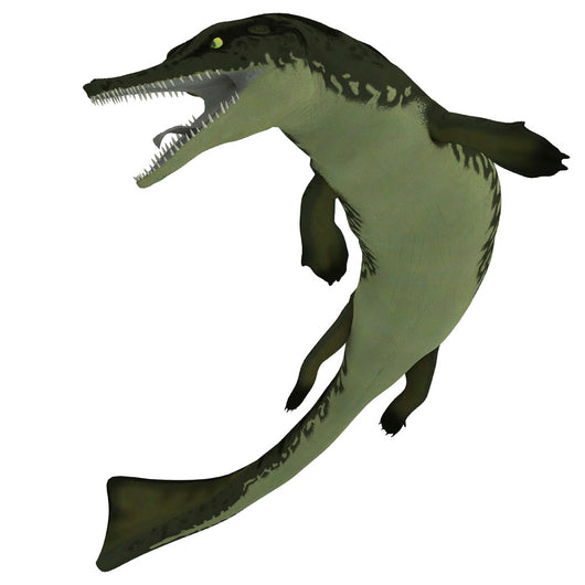 Metriorhynchus Extinct Genus Crocodyliform Wall Decal
