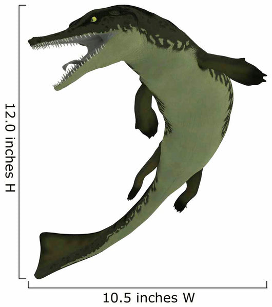 Metriorhynchus Extinct Genus Crocodyliform Wall Decal
