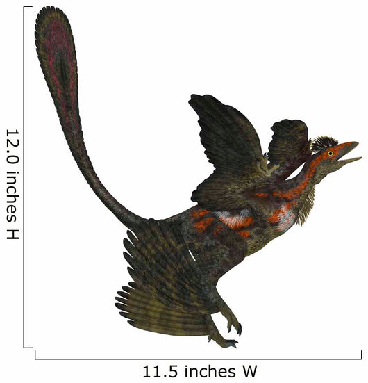 Microraptor Extinct Small Flying Wall Decal