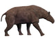 Paraceratherium Extinct Rhinoceros-like Mammal Wall Decal