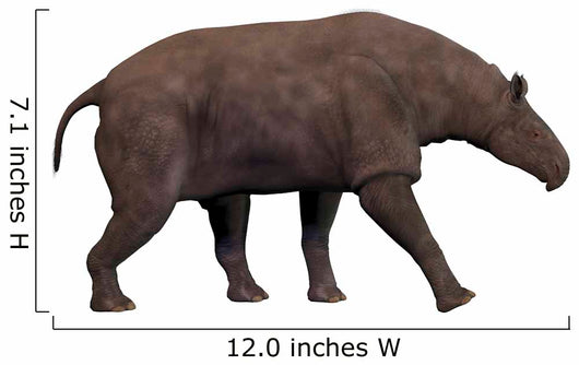 Paraceratherium Extinct Rhinoceros-like Mammal Wall Decal