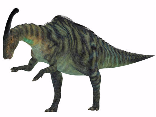 Parasaurolophus Herbivorous Dinosaur from Wall Decal Design 2