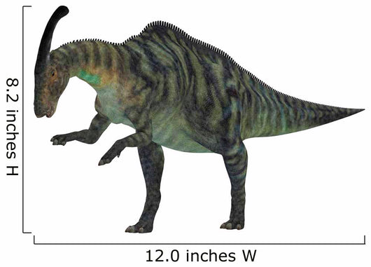 Parasaurolophus Herbivorous Dinosaur from Wall Decal Design 2