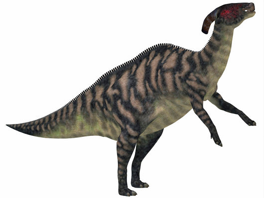 Parasaurolophus Herbivorous Dinosaur from Wall Decal Design 1
