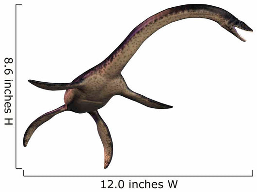 Plesiosaurus Large Marine Predatory Wall Decal