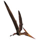 Reptilian Bird from Late Wall Decal