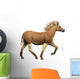 Quagga Is Extinct Subspecies Wall Decal