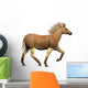 Quagga Is Extinct Subspecies Wall Decal