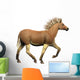 Quagga Is Extinct Subspecies Wall Decal