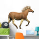 Quagga Is Extinct Subspecies Wall Decal