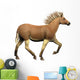 Quagga Is Extinct Subspecies Wall Decal
