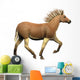 Quagga Is Extinct Subspecies Wall Decal