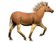 Quagga Is Extinct Subspecies Wall Decal