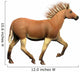 Quagga Is Extinct Subspecies Wall Decal