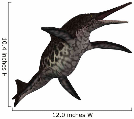 Shonisaurus Prehistoric Ichthyosaur from Wall Decal