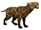 Illustration Smilodon Cat from Wall Decal