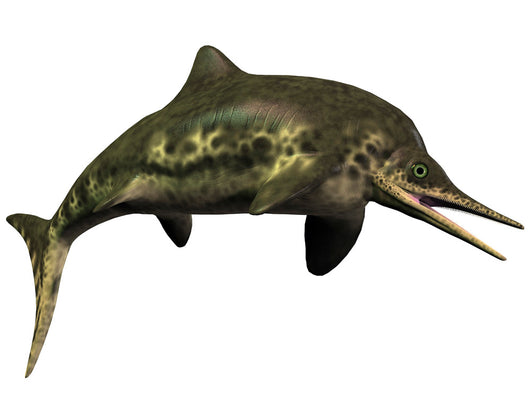 Stenopterygius Was Icthyosaur from Wall Decal