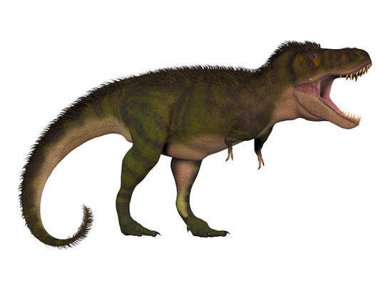 Tyrannosaurus Rex Large Carnivore Wall Decal Design 4