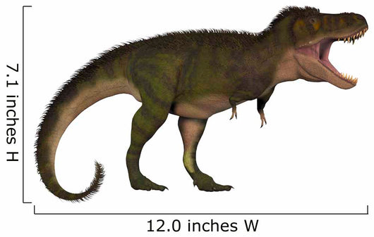 Tyrannosaurus Rex Large Carnivore Wall Decal Design 4