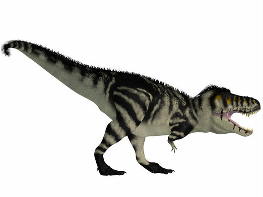 Tyrannosaurus Rex Large Carnivore Wall Decal Design 3
