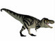 Tyrannosaurus Rex Large Carnivore Wall Decal Design 3