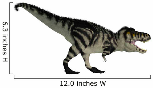 Tyrannosaurus Rex Large Carnivore Wall Decal Design 3