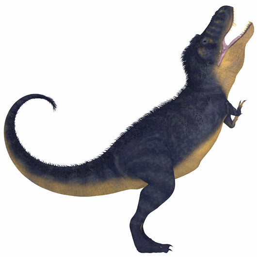 Tyrannosaurus Rex Large Carnivore Wall Decal Design 2