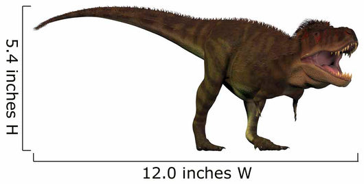 Tyrannosaurus Rex Large Carnivore Wall Decal Design 1