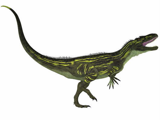 Torvosaurus Large Theropod Dinosaur Wall Decal