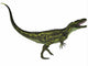 Torvosaurus Large Theropod Dinosaur Wall Decal
