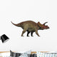 Triceratops Herbivorous Dinosaur from Wall Decal