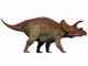 Triceratops Herbivorous Dinosaur from Wall Decal