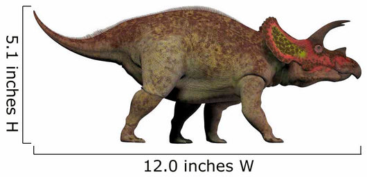 Triceratops Herbivorous Dinosaur from Wall Decal