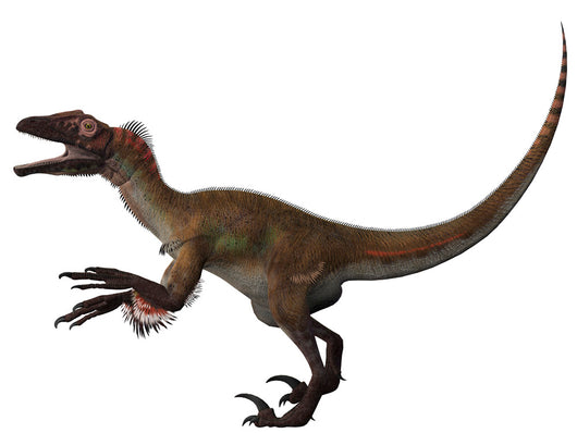 Utahraptor Carnivorous Dinosaur from Wall Decal