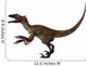 Utahraptor Carnivorous Dinosaur from Wall Decal