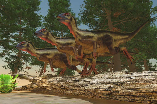 Group Herbivorous Hypsilophodon Dinosaurs Wall Decal