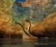 Plesiosaurus Captures Eurhinosaurus Marine Wall Decal