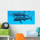 Leedsichthys Fish about to Wall Decal