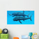 Leedsichthys Fish about to Wall Decal