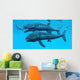 Leedsichthys Fish about to Wall Decal