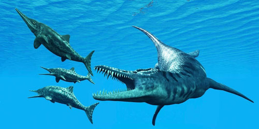 Liopleurodon Reptile Hunting Ichthyosaurus Wall Decal