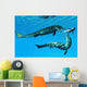 Metriorhynchus Marine Reptiles Try Wall Decal