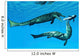 Metriorhynchus Marine Reptiles Try Wall Decal