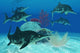 Group Large Ichthyosaurus Marine Wall Decal