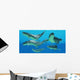 Group Xenacanthus Prehistoric Sharks Wall Decal
