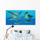 Group Xenacanthus Prehistoric Sharks Wall Decal