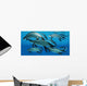 Group Scaumenacia Lobe-finned Fish Wall Decal Design 2