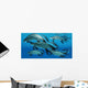 Group Scaumenacia Lobe-finned Fish Wall Decal Design 2