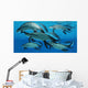Group Scaumenacia Lobe-finned Fish Wall Decal Design 2